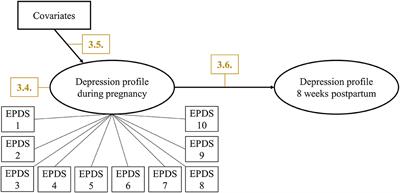 Predictors and Changes in Paternal Perinatal Depression Profiles—Insights From the DREAM Study